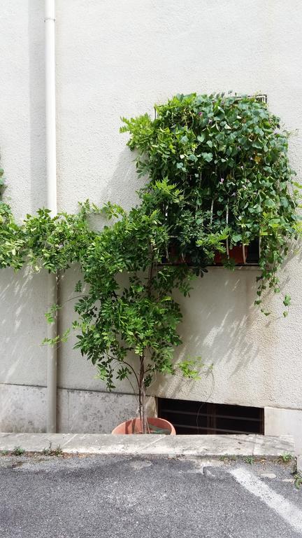 La Pera Volpina Monteverde Vecchio Apartment Rome
