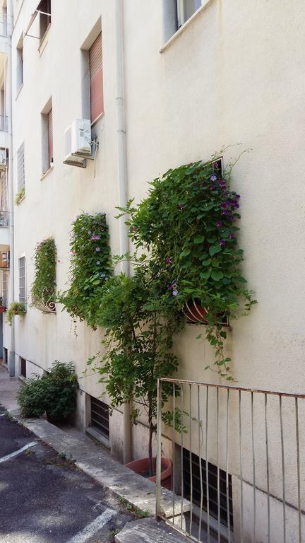 Apartment La Pera Volpina Monteverde Vecchio Rome
